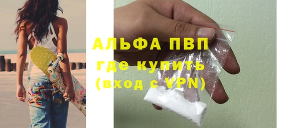 индика Белоозёрский