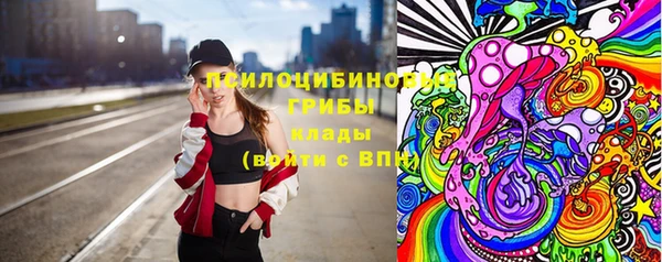 PSILOCYBIN Балабаново