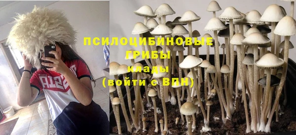 PSILOCYBIN Балабаново