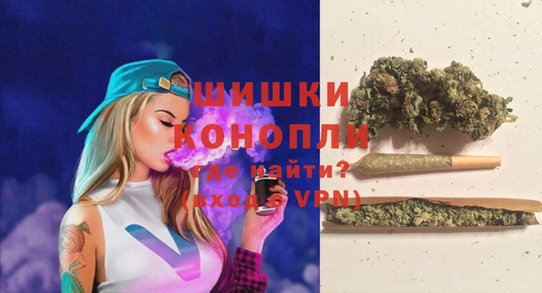 PSILOCYBIN Балабаново