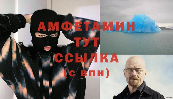 сатива Баксан
