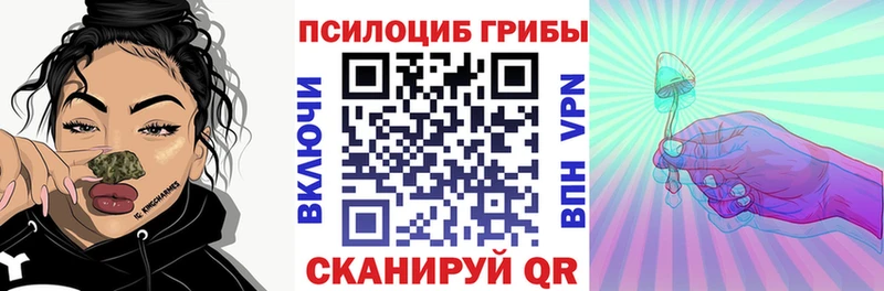 Галлюциногенные грибы Psilocybe  где найти наркотики  Катайск 